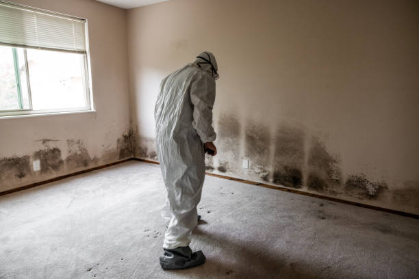 Best Mold Testing  in Riverview, MI